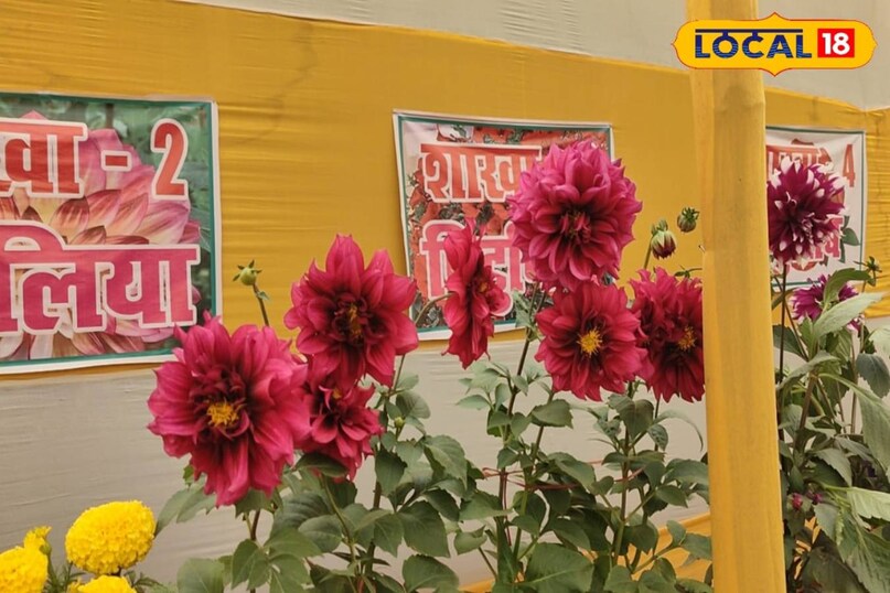 सक्सेस स्टोरी
