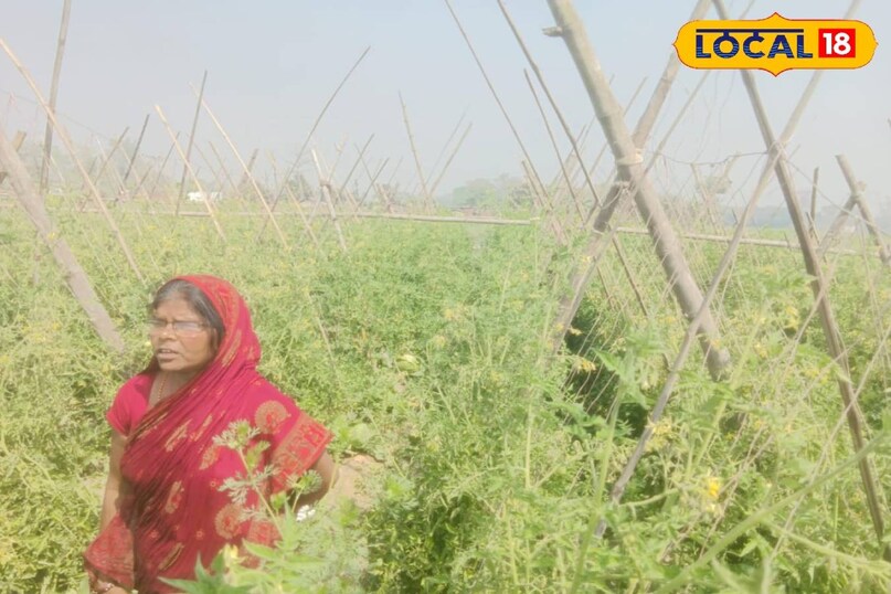 सक्सेस स्टोरी सक्सेस स्टोरी