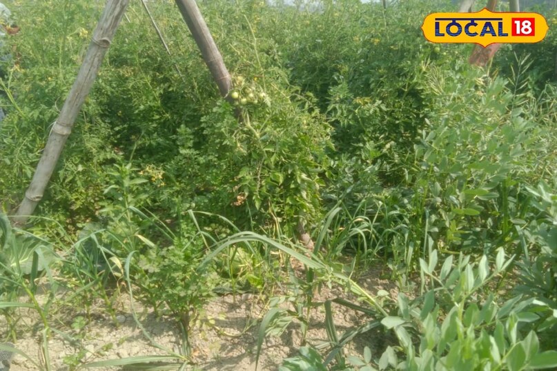 सक्सेस स्टोरी सक्सेस स्टोरी