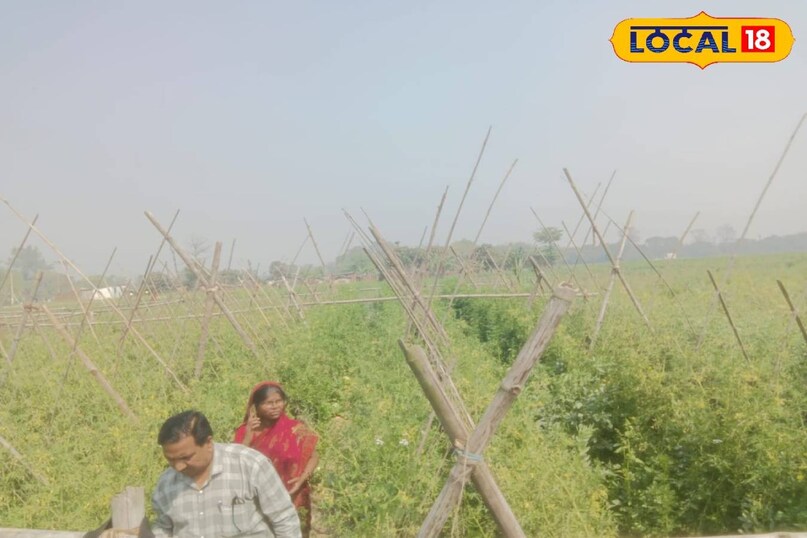 सक्सेस स्टोरी सक्सेस स्टोरी