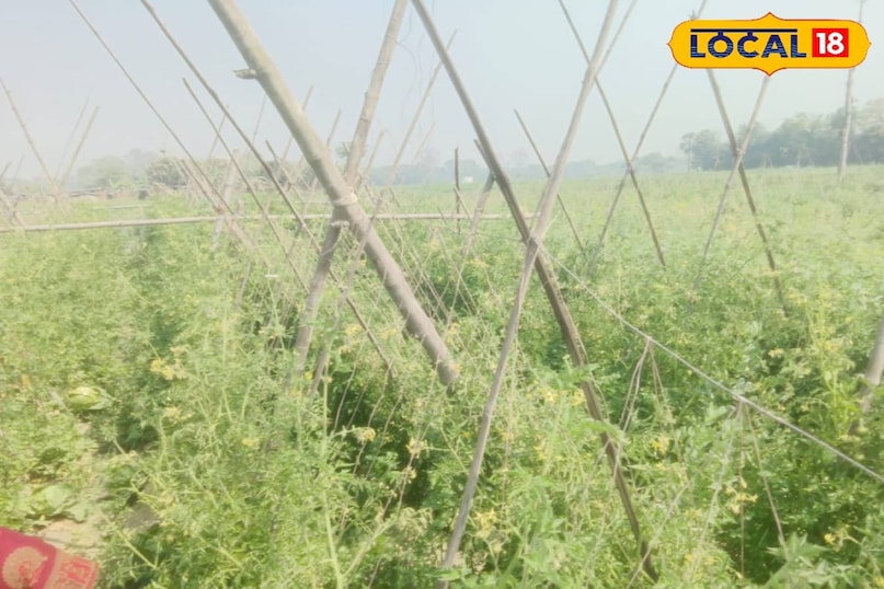 सक्सेस स्टोरी सक्सेस स्टोरी