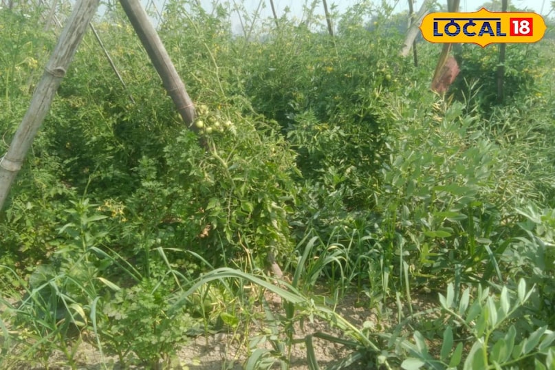 सक्सेस स्टोरी सक्सेस स्टोरी