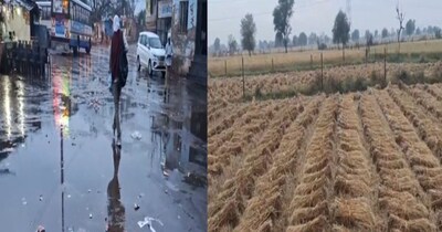 राजस्थान में बेमौसम बारिश का कहर: फसलें बर्बाद, सड़कों पर जलभराव से जनजीवन अस्त-व्यस्त.