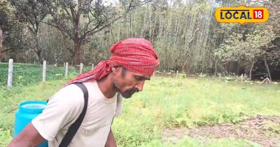 सक्सेस स्टोरी