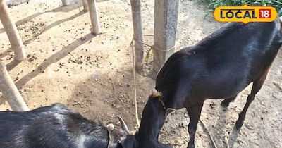 सक्सेस स्टोरी