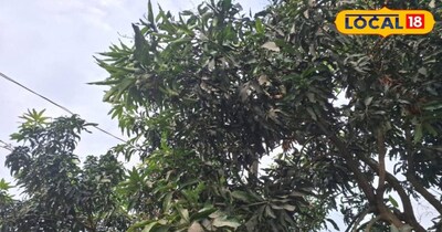 सक्सेस स्टोरी