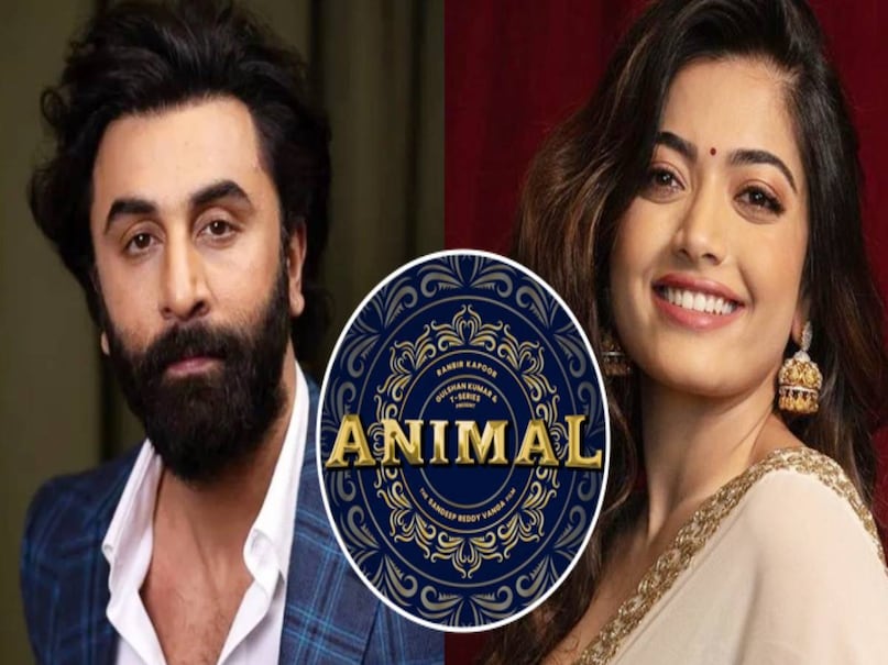 rashmika mandanna latest news, vijay deverakonda wife rashmika mandanna, rashmika mandanna bollywood queen, rashmika mandanna beat alia bhatt deepika padukonem, rashmika mandanna superhit movies hindi, rashmika mandanna husband name, rashmika mandanna wedding photos, rashmika mandanna pushpa the rise movie collection worldwide, rashmika mandanna animal movie colllectoin worldwide, rashmika mandanna pushpa the rule movie collectoin wolrdwide, rashmika mandanna age, rashmika mandanna upcoming movies, rashmika mandanna chhava movie collection