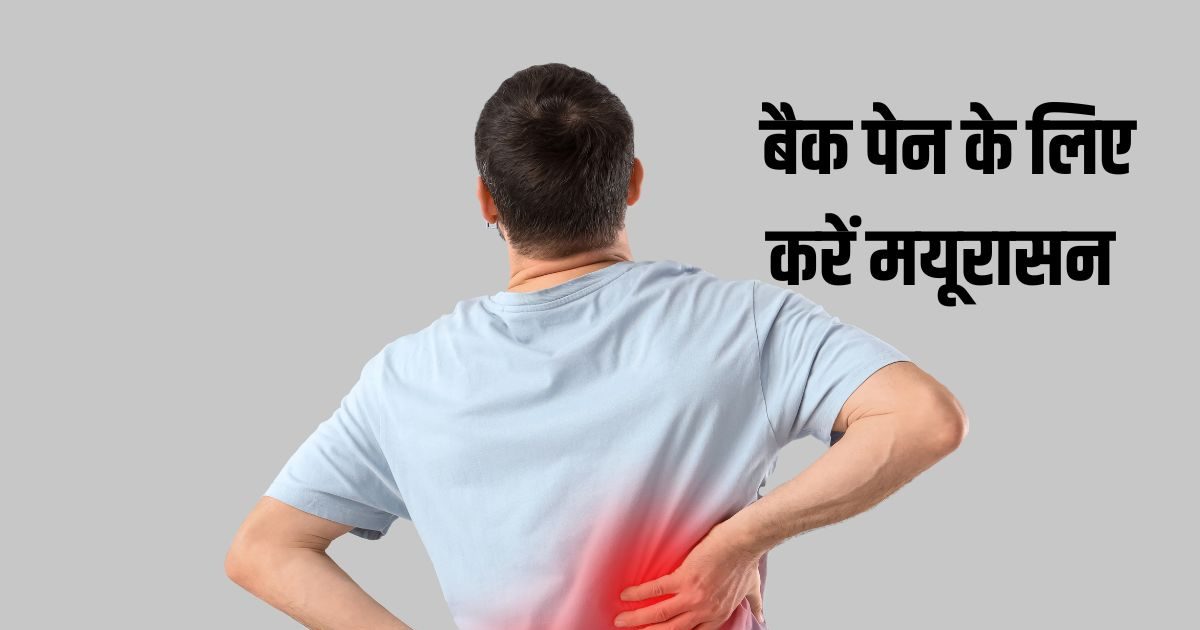 पुराना पीठ दर्द भी होगा छूमंतर! बस रोज करें ये योगासन, असर देख रह जाएंगे हैरान