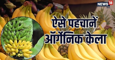 केमिकल वाला केला खाने के बाद कई अक्‍सर पेट फूलना, एसिडिटी या गले में जलन की शिकायत होती है. 