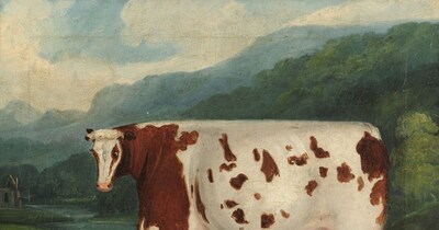 एनिमल ब्रीडिंग का सबसे अनोखा मामला (इमेज- फाइल फोटो) 