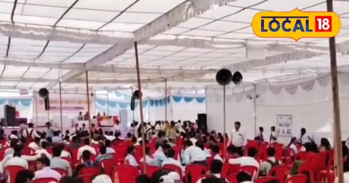 मेले में मिला भविष्य का रास्ता! दौसा में 250 युवाओं को मिली नौकरी, 17 कंपनियों ने दी बड़ी सौगात