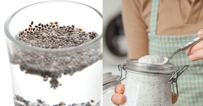Chia Seeds: Water or Yogurt? Expert Reveals Best Way for Max Gut Health Benefits
