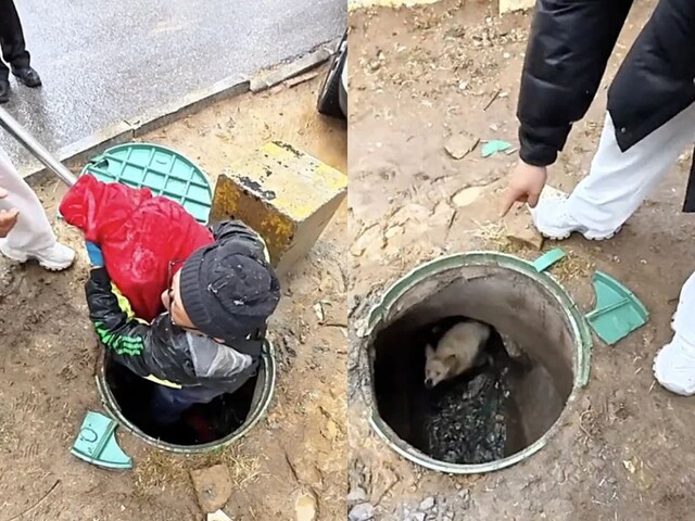 Dog stuck in 'Patal Lok' for 3 years, people kept him alive by feeding him, then 