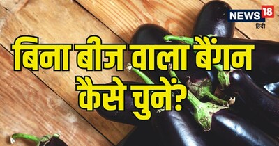 चलिए जानते हैं कि आखिर बाजार से बैंगन खरीदते वक्‍त किन बातों को ध्‍यान में रखते हुए सही सब्‍जी का चुनाव करें.
