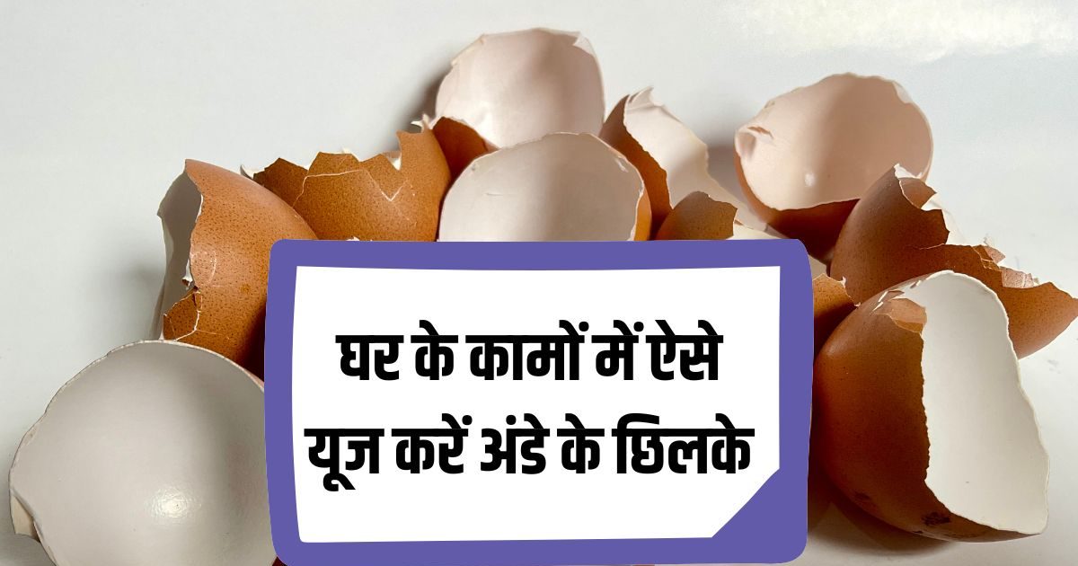 अंडे के छिलके से करें हजारों की बचत, ऑर्गेनिक खाद से लेकर घर के इन कामों में करें यूज