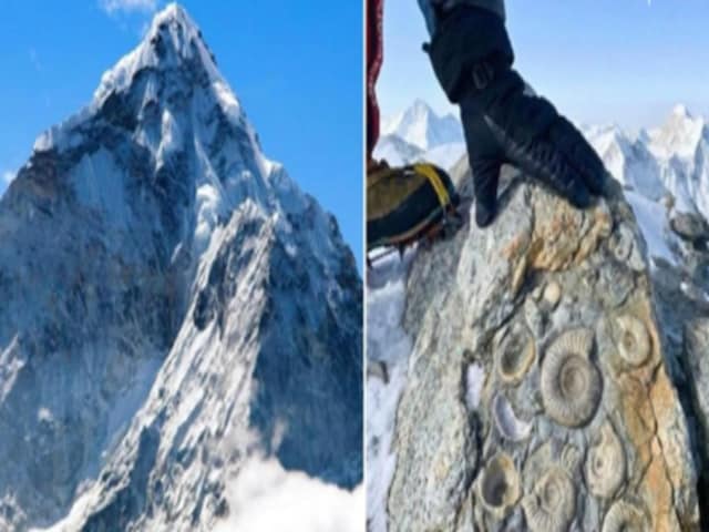 Such a thing was found on the top of Mount Everest, scientists were shocked to see it.
