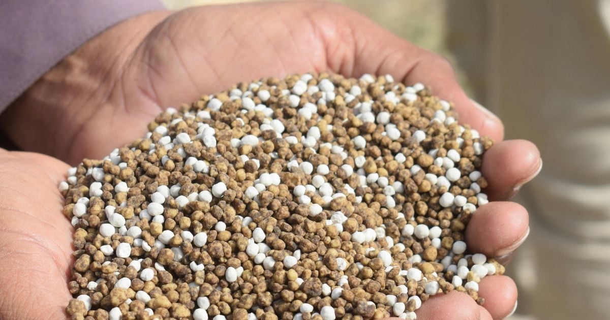 ईरान युद्ध से बंद हो गया 70 फीसदी यूरिया का रास्‍ता! अभी किस देश से मंगाते हैं सबसे ज्‍यादा फर्टिलाइजर्स, आगे क्‍या विकल्‍प