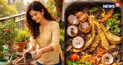 गुलाब के लिए पुरानी चाय की पत्ती जादुई असर दिखाती है.