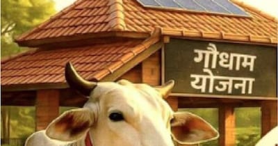 छत्‍तीसगढ़ में गौधाम योजना को लेकर कांग्रेस ने बड़े आरोप लगाए हैं. 