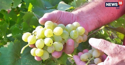 अगली बार खरीदारी करते वक्त इन 5 आसान और असरदार टिप्स को जरूर आजमाएं.