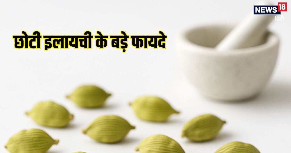 गर्मी में 1 छोटी इलायची हर दिन चबाकर खाएं, मुंह के छाले, गले की खराश होगी दूर, जानें लाभ