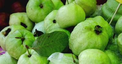 अमरूद खाने का तरीका. 