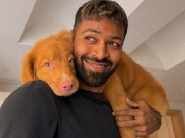 12 के बदले लगाए 15 चक्कर...पंड्या ने खोला सफलता का राज, कैसे बदली किस्मत