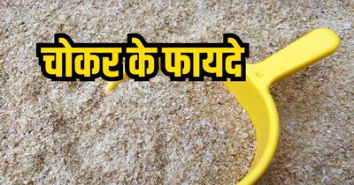 गेहूं के चोकर में कई जरूरी पोषक तत्व पाए जाते हैं. 
