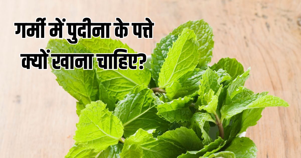 गर्मी में क्यों खाना चाहिए पुदीना? बॉडी को कूलिंग ही नहीं, मिलते हैं ये जबरदस्त फायदे