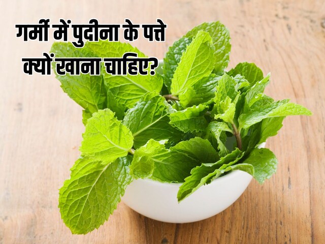 गर्मी में क्यों खाना चाहिए पुदीना? बॉडी को कूलिंग ही नहीं, मिलते हैं ये फायदे 