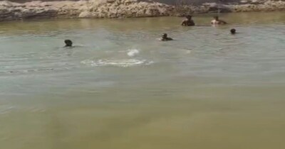 Dausa drowning incident