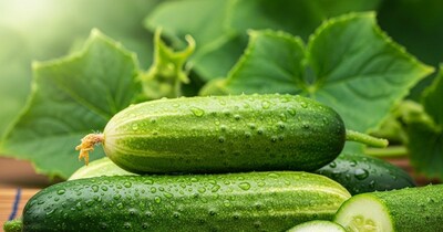 कड़वे खीरे से बचें! परफेक्ट खरीददारी के लिए अपनाएं ये तरीके.