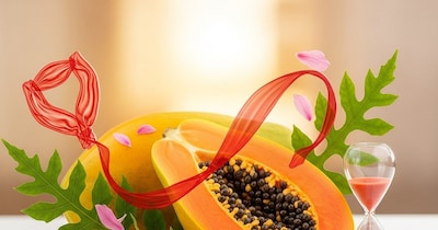 अनियमित मासिक पाळीसाठी पपई फायदेशीर; डॉक्टरांनी दिली स्वच्छता आणि आहाराची शिफारस.