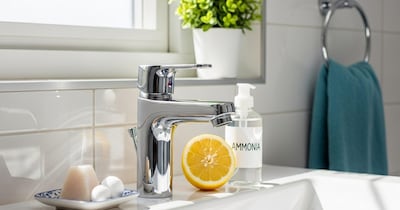 बाथरूम क्लीनिंग टिप्स