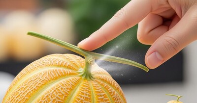 पका खरबूजा कैसे चुनें