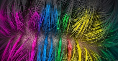 होली के केमिकल भरे रंग बालों की जड़ों को कर सकते हैं कमजोर