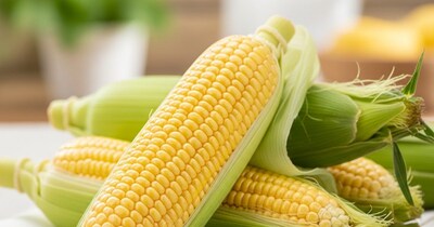 सिर्फ स्वाद नहीं, सेहत का खजाना है स्वीट कॉर्न! आज ही करें डाइट में शामिल.