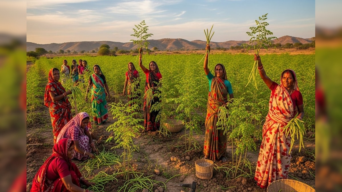 Video: न खाद की जरूरत, न पानी की टेंशन! इस गांव के हर घर के बाहर खड़ा है ATM, पत्तियों से भी बरस रहे पैसे