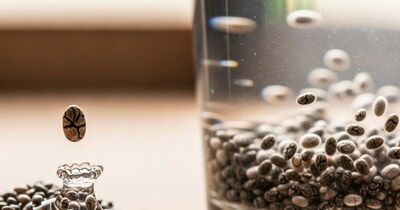 Chia seeds ki Taseer  (AI)