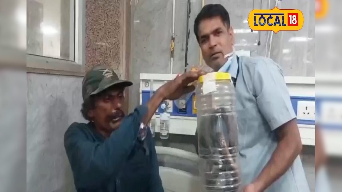 साहस की मिसाल! सांप पकड़ने गया सपेरा खुद बन गया शिकार, डसने के बाद भी दिखाई हिम्मत, पहुंचा अस्पताल