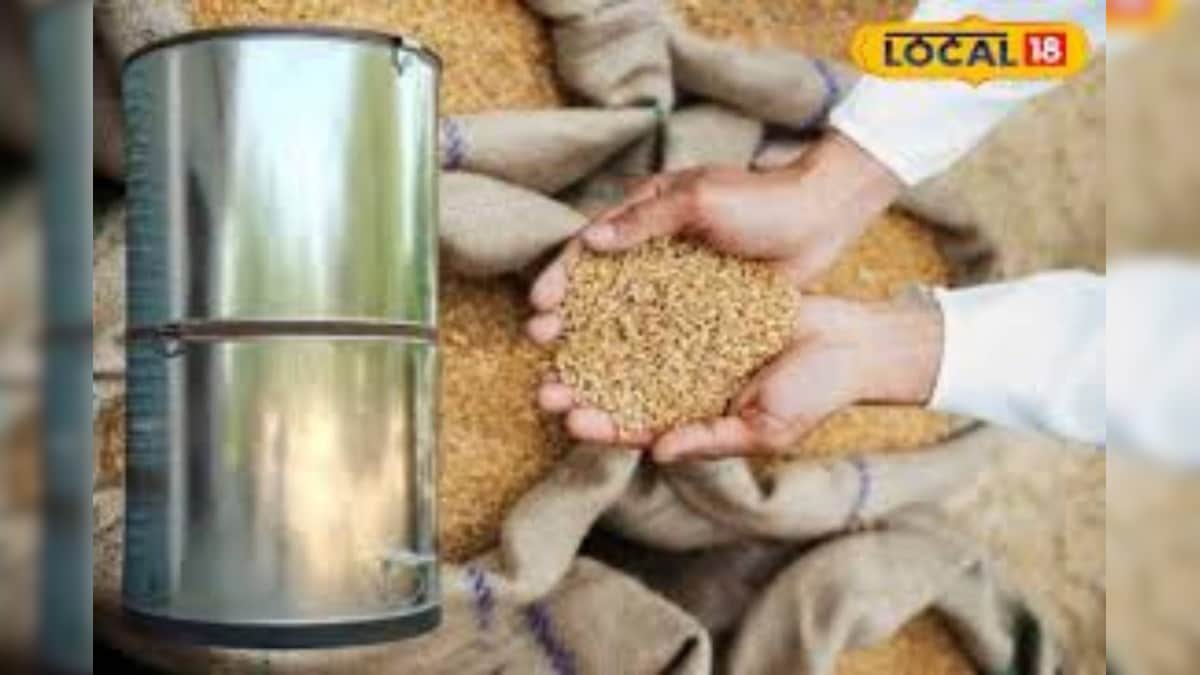 गेहूं को सालभर सुरक्षित रखने के आसान देसी उपाय, नहीं लगेंगे कीड़े और घुन