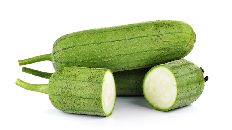 Beat the Heat with This One Summer Superfood 7 Incredible Benefits of Ridge Gourd for a Healthy Gut