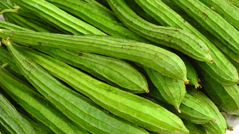 Beat the Heat with This One Summer Superfood 7 Incredible Benefits of Ridge Gourd for a Healthy Gut