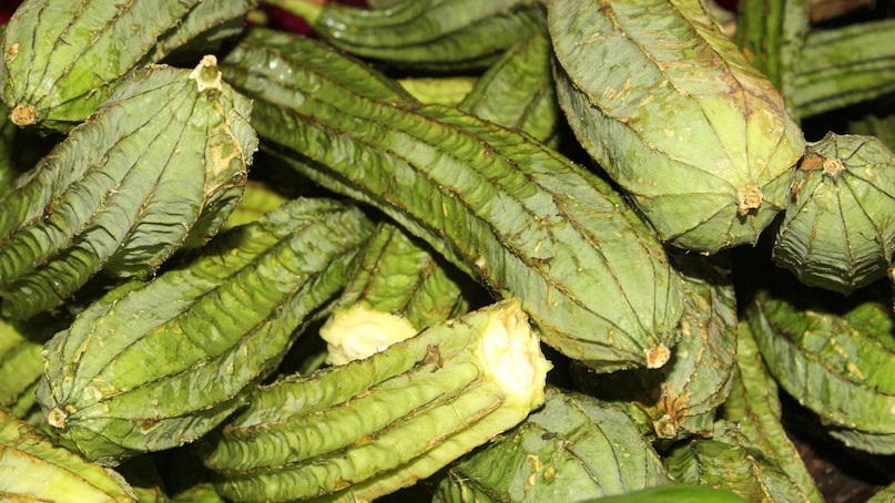 Beat the Heat with This One Summer Superfood 7 Incredible Benefits of Ridge Gourd for a Healthy Gut