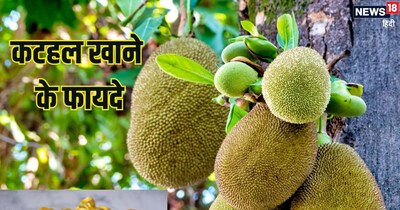 कटहल खाने के स्वास्थ्य लाभ.