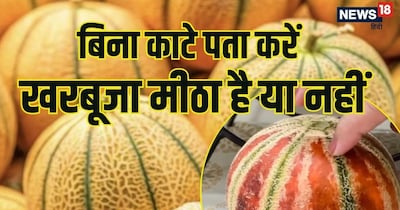 इन बातों का ध्यान रखकर आप इस गर्मी में अपने परिवार के लिए सबसे बेहतरीन और मीठे खरबूजे का चुनाव कर सकते हैं.