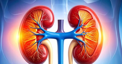 किडनी डिजीज के शुरुआती लक्षण आपके चेहरे पर नजर आते हैं.