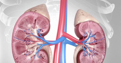 किडनी की बीमारियों से बचने के लिए डायबिटीज और बीपी को कंट्रोल रखना जरूरी है.