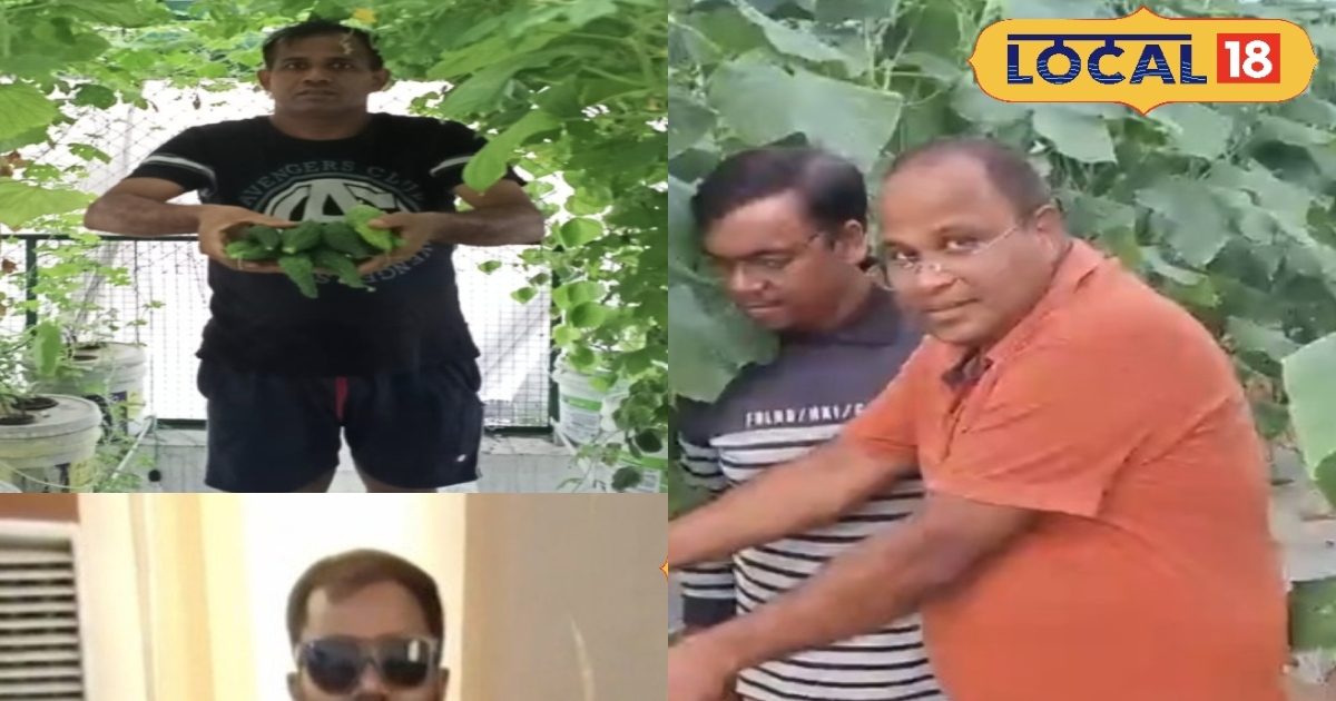 बरेली के वो 5 किसान, जिन्होंने जैविक खेती अपनाकर बदली खुद की किस्मत