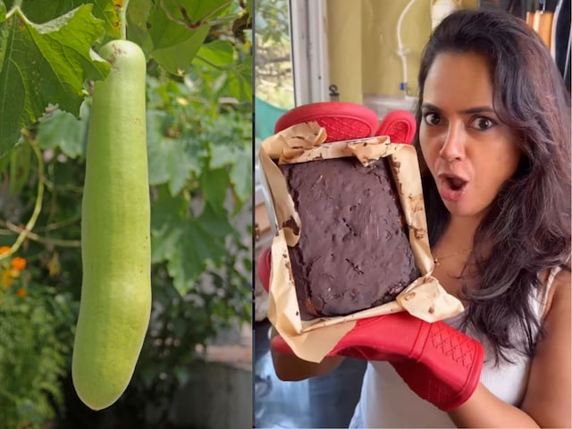 समीरा रेड्डी ने शेयर की ‘नो-गिल्ट’ हेल्दी रेसिपी, लौकी से बनाई चॉकलेटी ब्राउनी